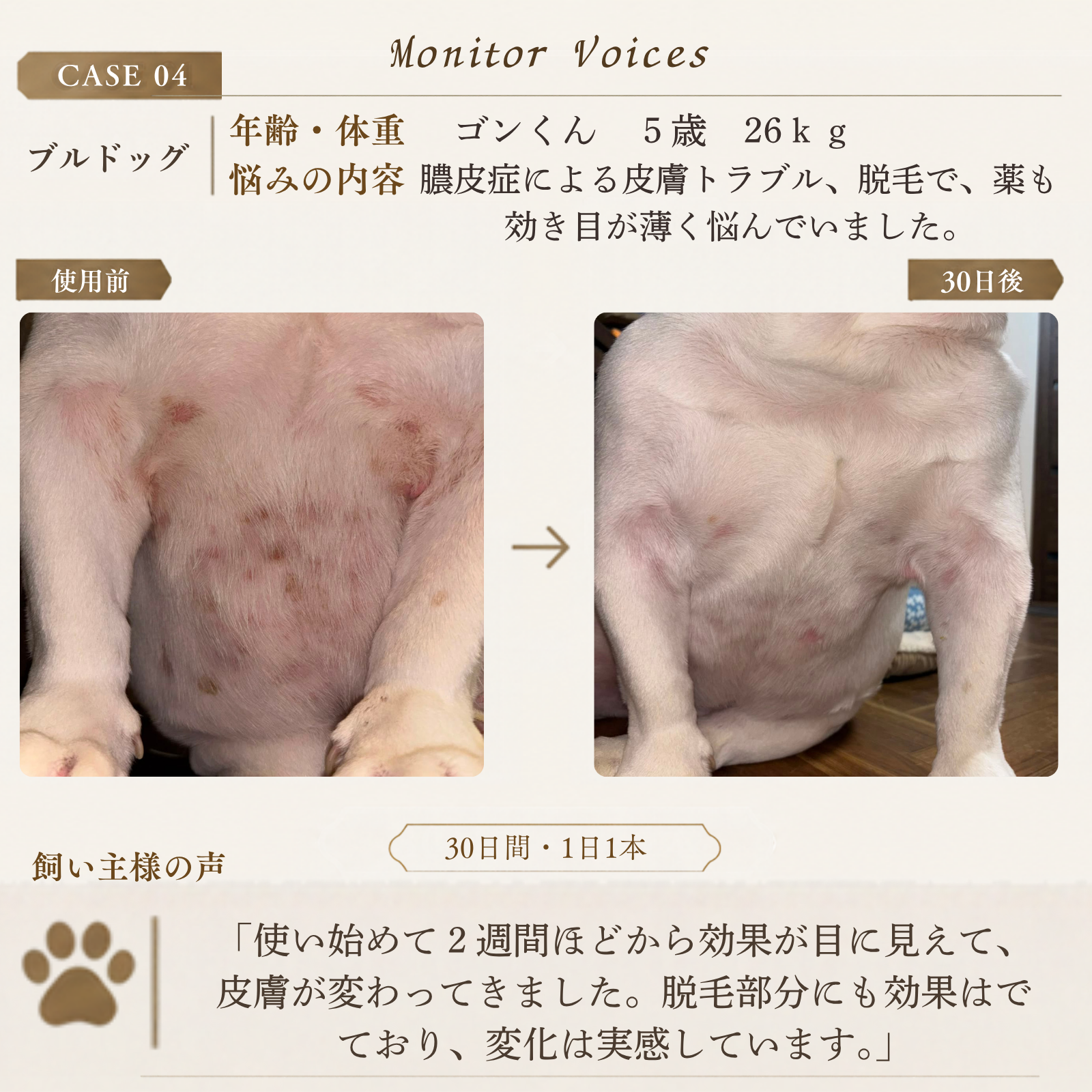 DEEP SIALICモニター事例｜ブルドッグ・膿皮症・脱毛