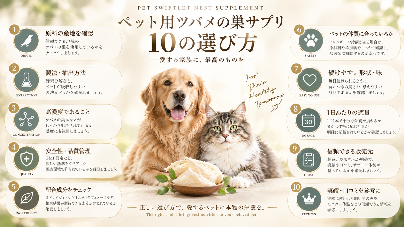 ペット用ツバメの巣サプリを選ぶ際に確認したい10項目のイメージ