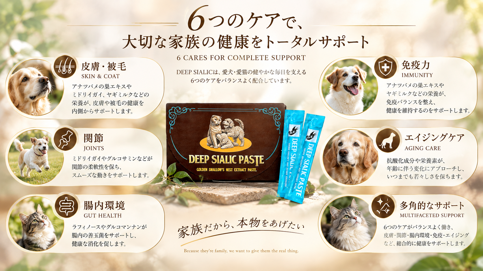 DEEP SIALIC 6 CAREの製品コンセプトを紹介するイメージ
