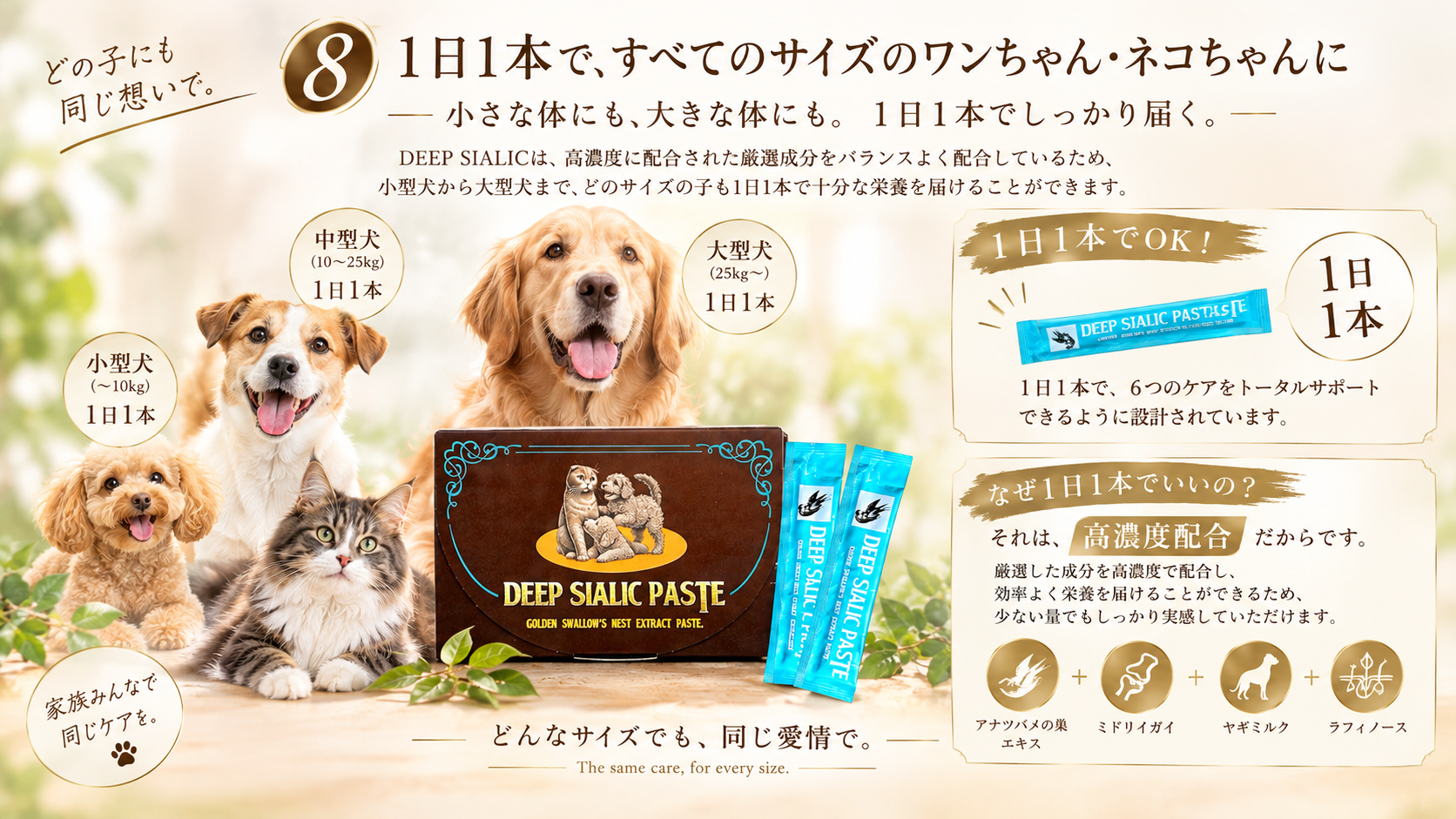 DEEP SIALICの1日1本の給与目安を紹介するイメージ
