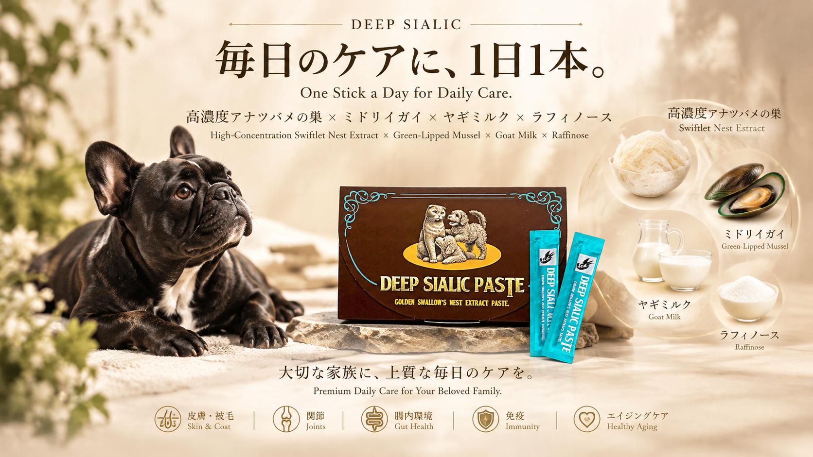 DEEP SIALIC PASTEと犬をイメージした毎日の健康ケア