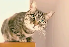 サムネイル2