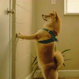 インスタグラム