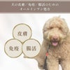 deepsialic(ディープシアル）皮膚ケア　免疫ケア　腸活ケアに役立つ　犬用高濃度ペーストサプリ　トリプルケア訴求画像